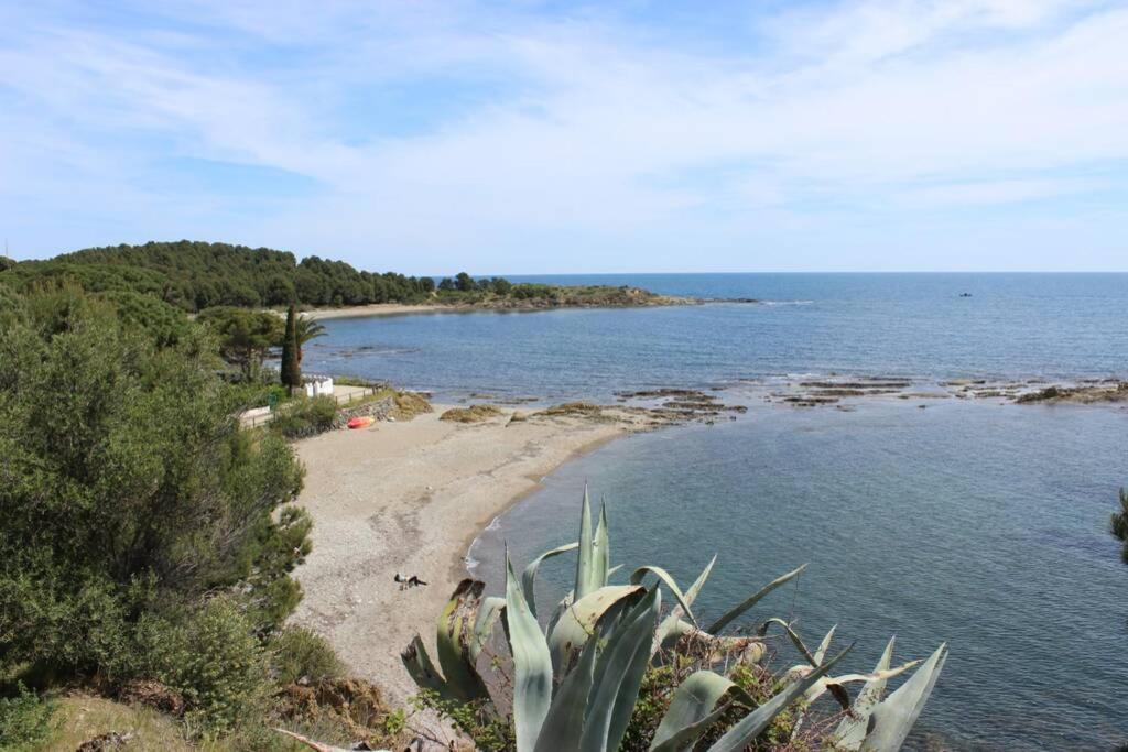 Luxury 4 Bed Apartment On Coastal Footpath At Cap Ras Llança Exteriér fotografie